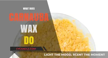 Unlocking the Secrets of Carnauba Wax: A Comprehensive Guide