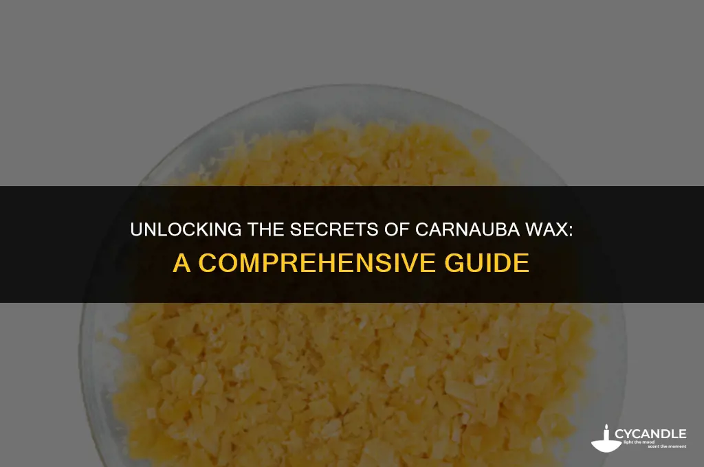 what does carnauba wax do