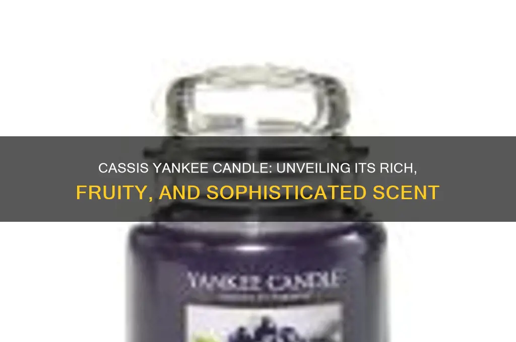 what does cassis yankee candle smell like