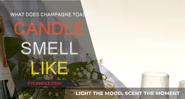 Champagne Toast: Scented Candle Review