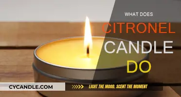 Citronella Candles: Do They Really Work?