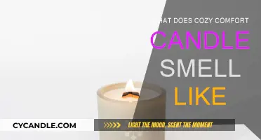 The Cozy Comfort Candle: What's the Scent?