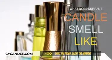 The Sweet Scent of Currant Candles: A Fragrance Guide