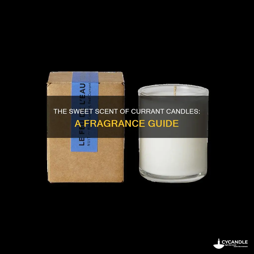 what does currant candle smell like