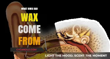 Unveiling the Origins of Ear Wax: A Comprehensive Guide