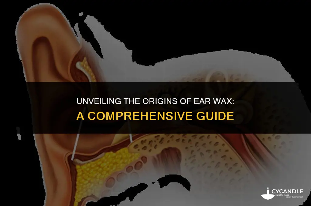 what does ear wax come from