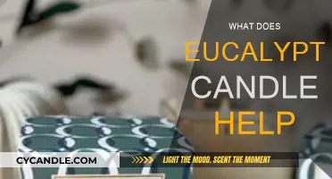 Eucalyptus Candles: Benefits and Uses for Your Home