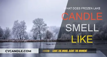 The Frozen Lake Candle: A Wintery Scent