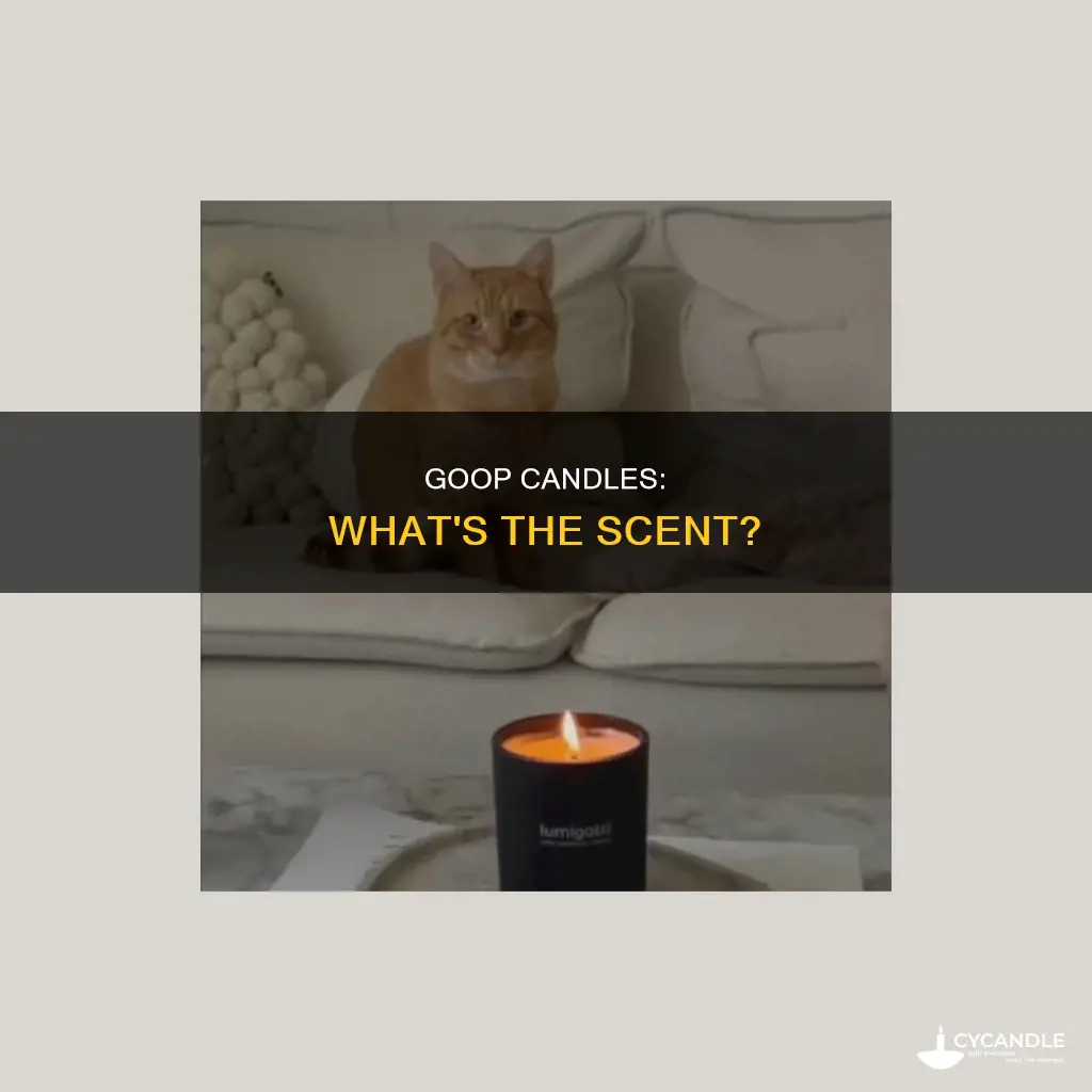 what does goop candle smell like
