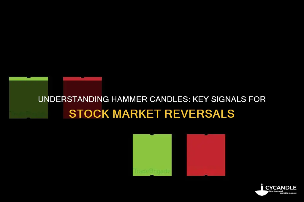 what does hammer candle means in stock market