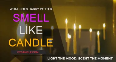 Harry Potter Scents: Magical Candles for Your Home