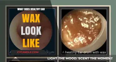 Ear Wax 101: Understanding the Appearance of Healthy Cerumen