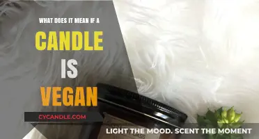 Is Your Candle Vegan? Understanding Cruelty-Free Wax Choices