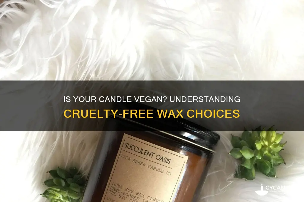 what does it mean if a candle is vegan