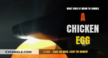 Candling Chicken Eggs: Unveiling the Secrets Inside the Shell