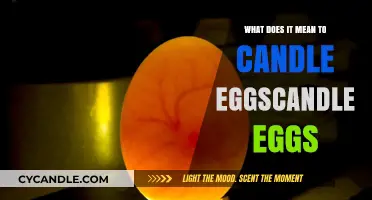 Candling Eggs: Unveiling the Meaning and Technique Behind This Practice