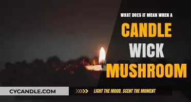 Why Candle Wick Mushrooms: Causes, Effects, and How to Fix It