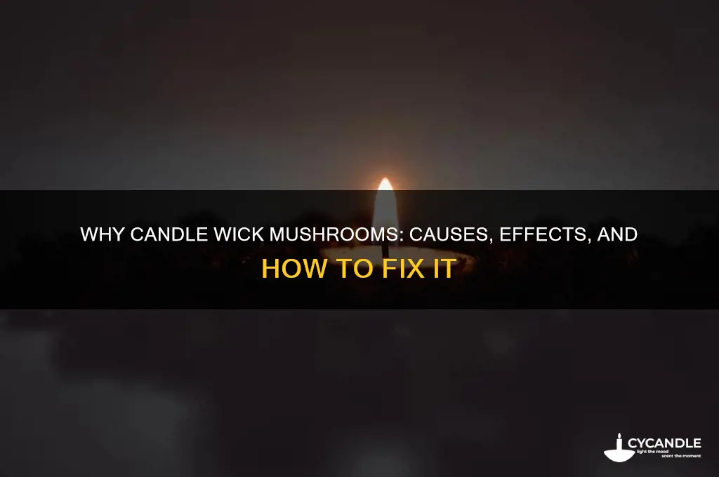 what does it mean when a candle wick mushrooms