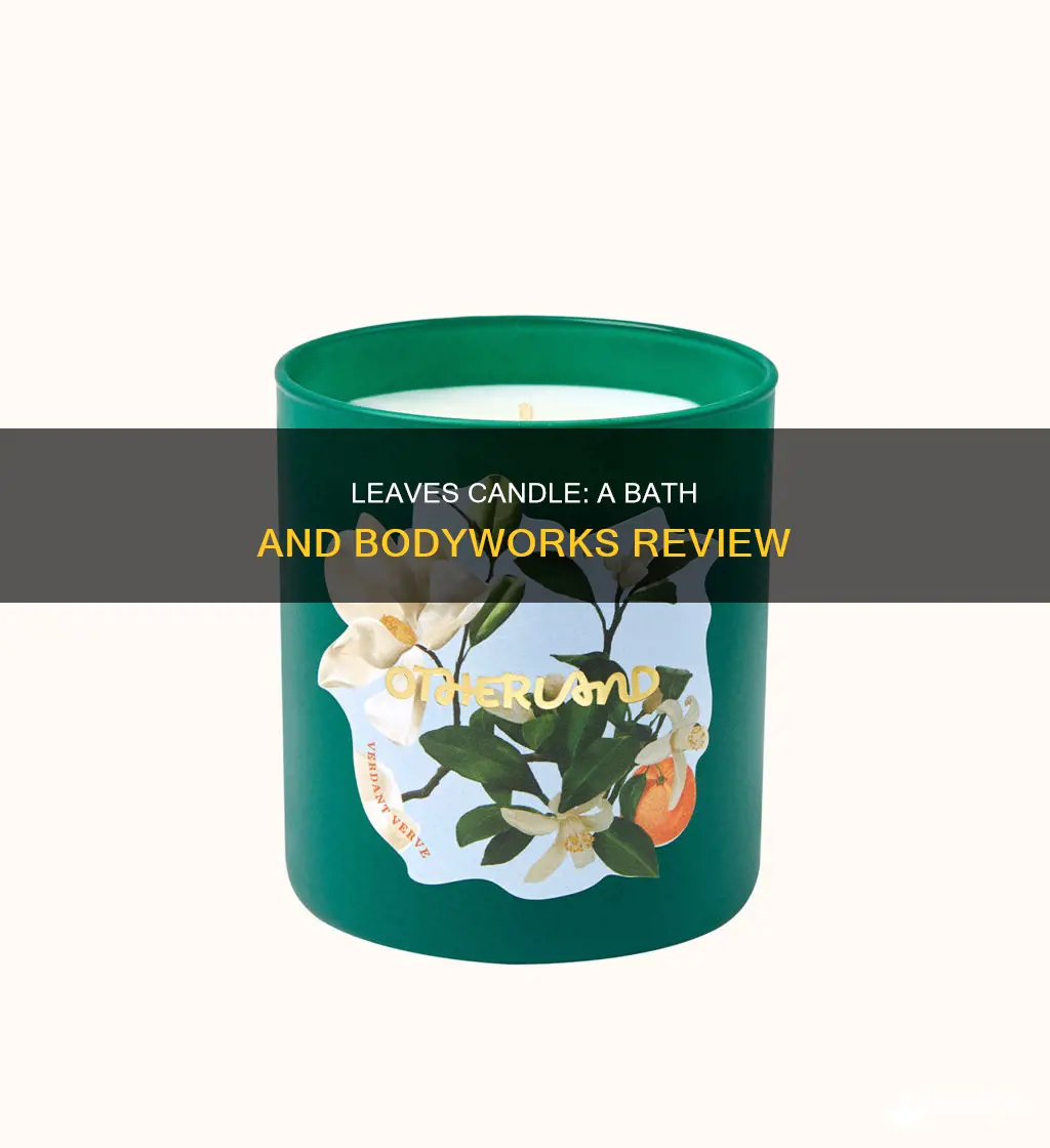 what does leaves candle at bath and bodyvworks smell like