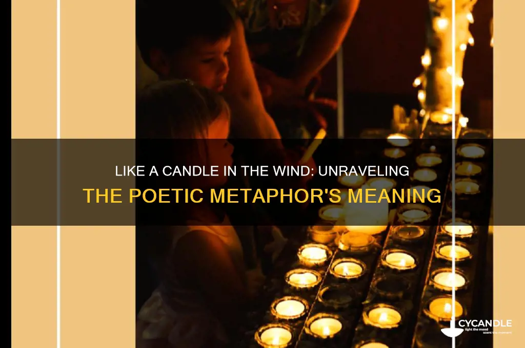 what does like a candle in the wind mean