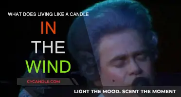 The Ephemeral Life: A Candle in the Wind