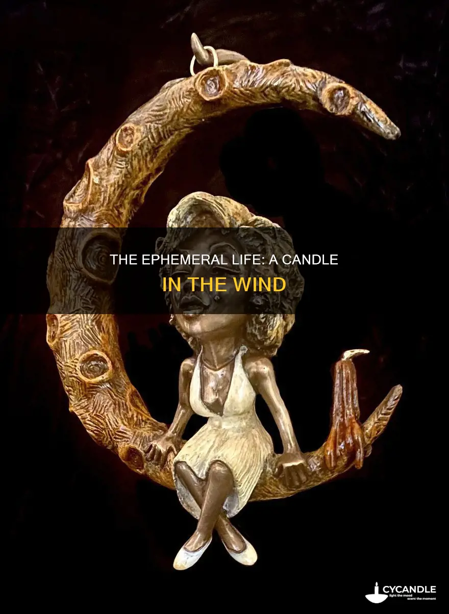 what does living like a candle in the wind