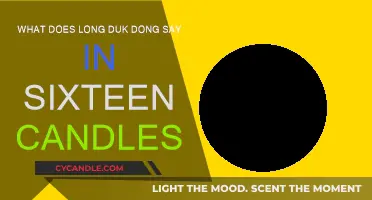 Long Duk Dong's Iconic Lines in Sixteen Candles
