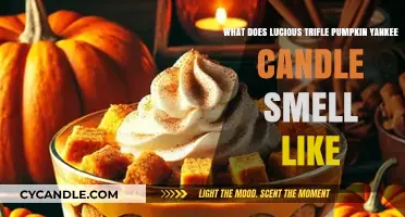 Unveiling the Aromatic Charm of Lucious Trifle Pumpkin Yankee Candle