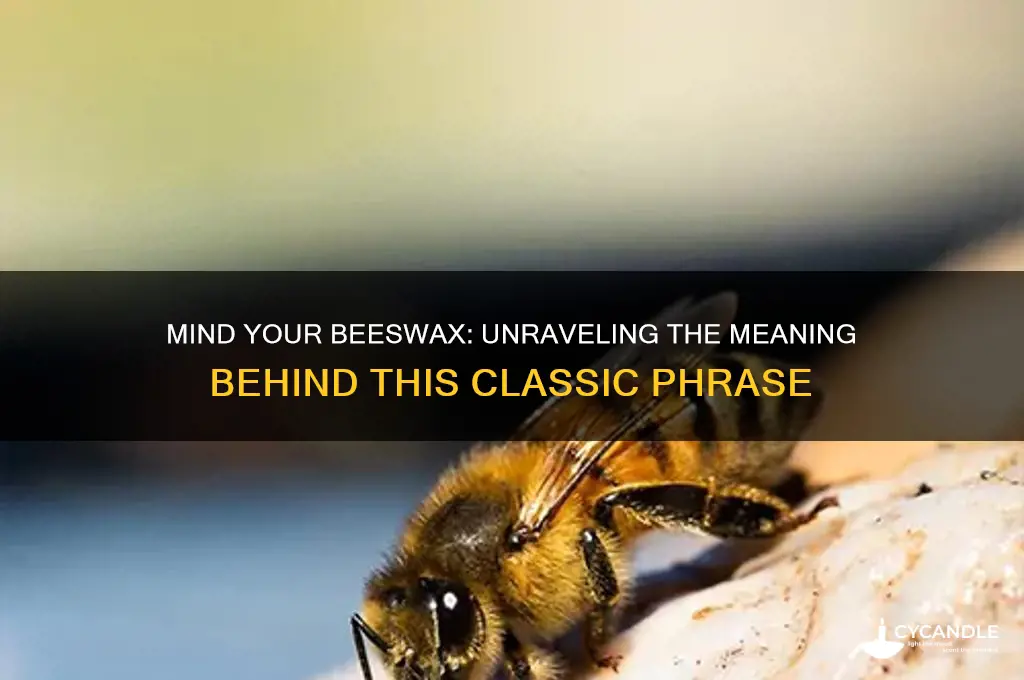 what does mind your beeswax mean