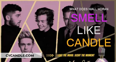 Niall Horan's Candle: What Does It Smell Like?