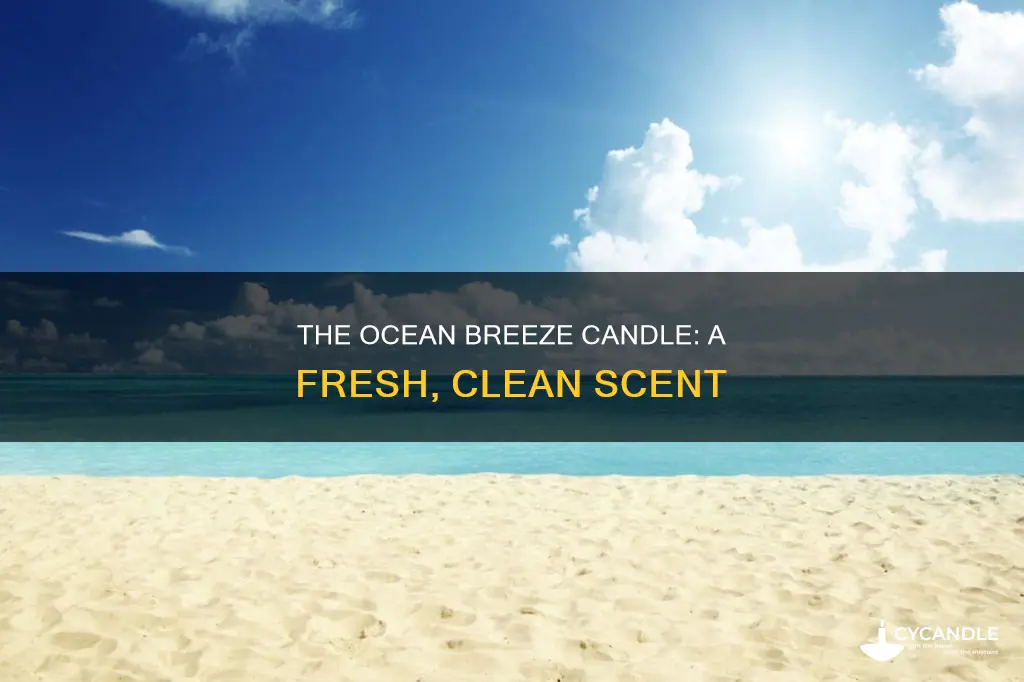 what does ocean breeze candle smell like