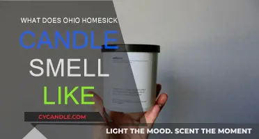 Ohio Homesick Candle: What Scents Evoke Home Memories?