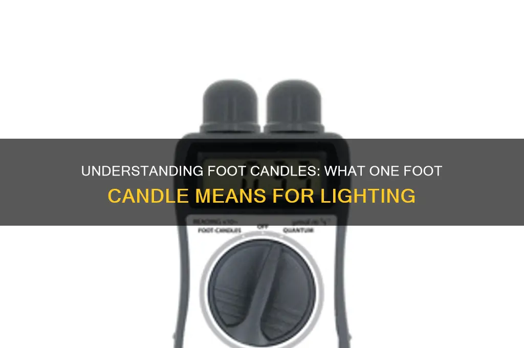 what does one foot candle mean