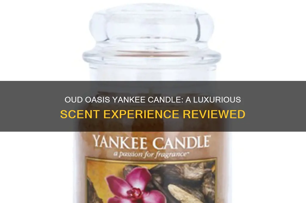 what does oud oasis yankee candle smell like
