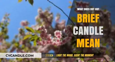 Out, Out, Brief Candle": Unraveling Shakespeare's Poignant Reflection on Life's Fragilit