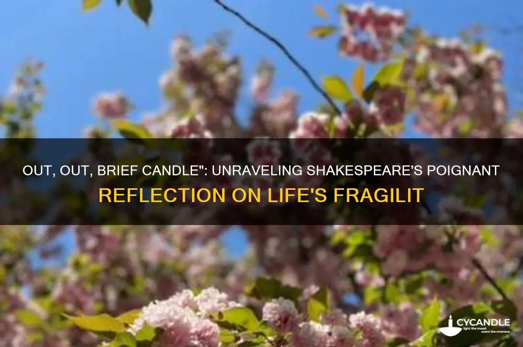 what does out out brief candle mean