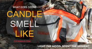 Ozone Candles: Fresh, Clean, Purifying Scents