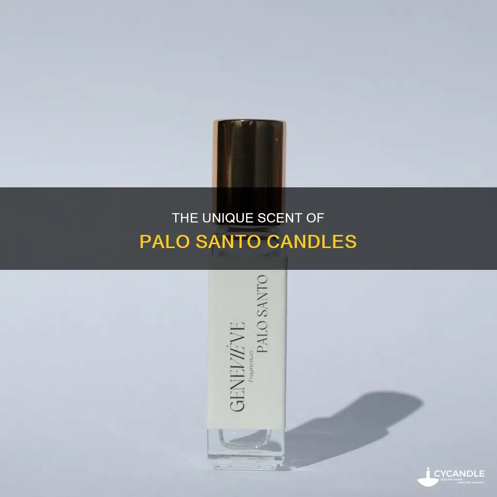 what does palo santo candle smell like