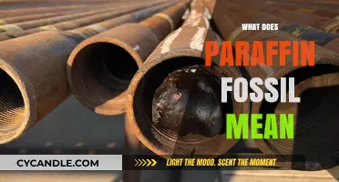 Understanding Paraffin Fossil: Origins, Uses, and Environmental Impact Explained