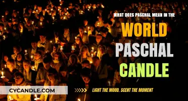 Understanding the Paschal Candle's Meaning: Exploring the Symbolism of 'Paschal