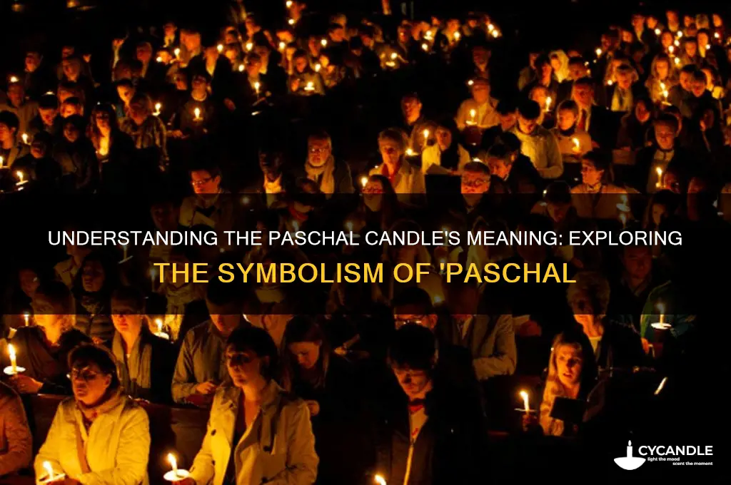 what does paschal mean in the world paschal candle