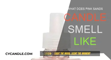 A Whiff of Pink Sands: The Fragrance Notes Explained