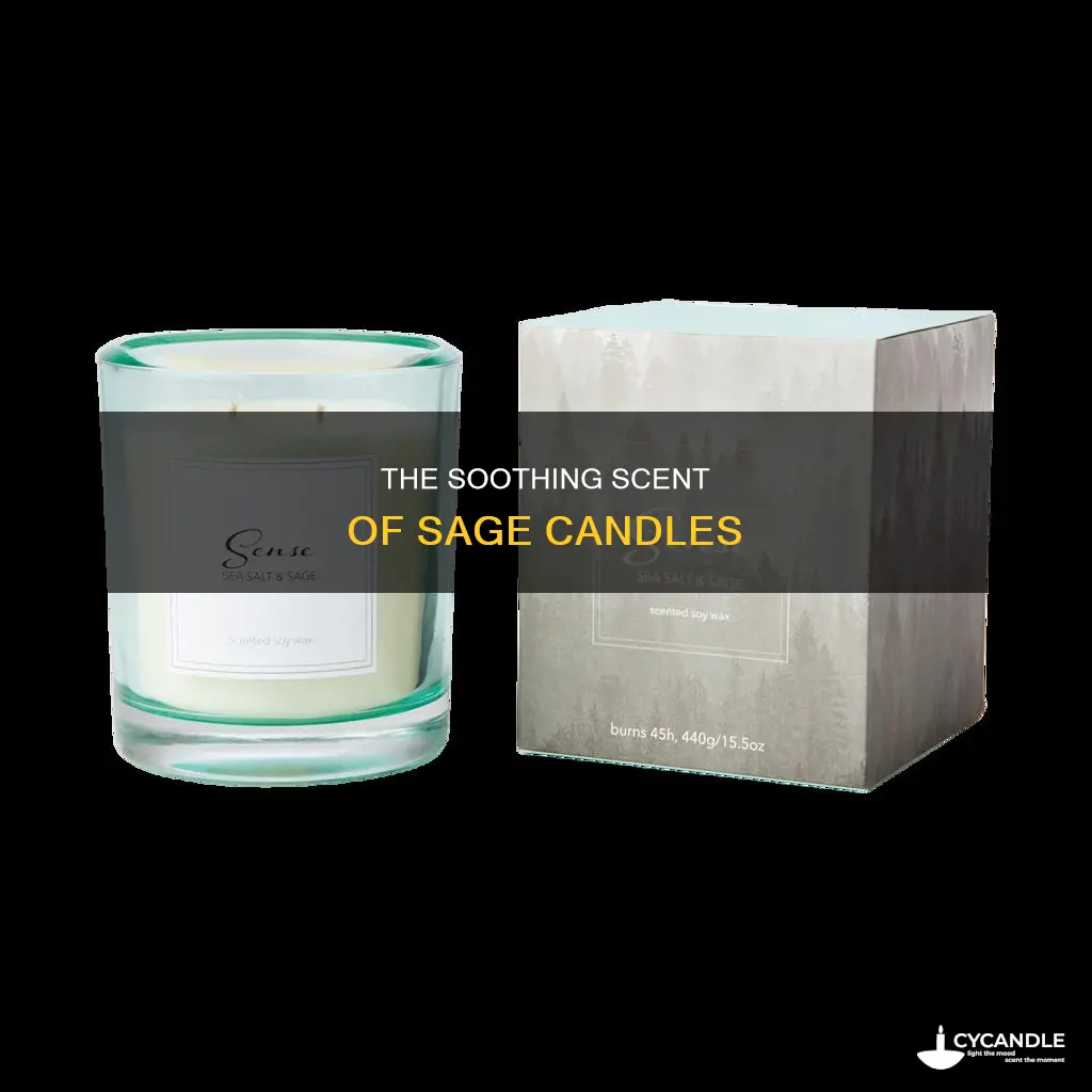what does sage candle smell like