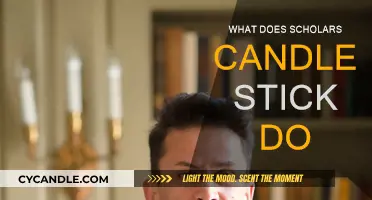 Candlestick Trading: A Scholar's Guide