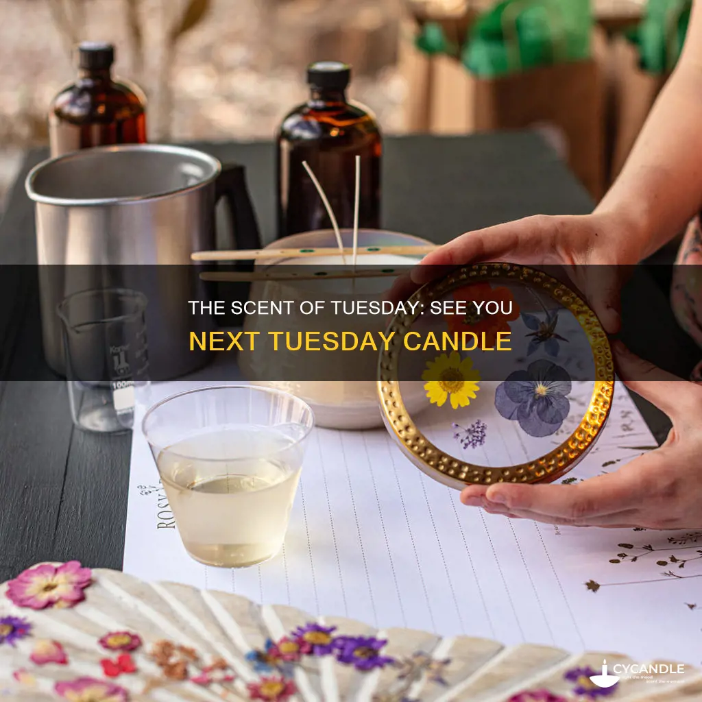 what does see you next tuesday candle