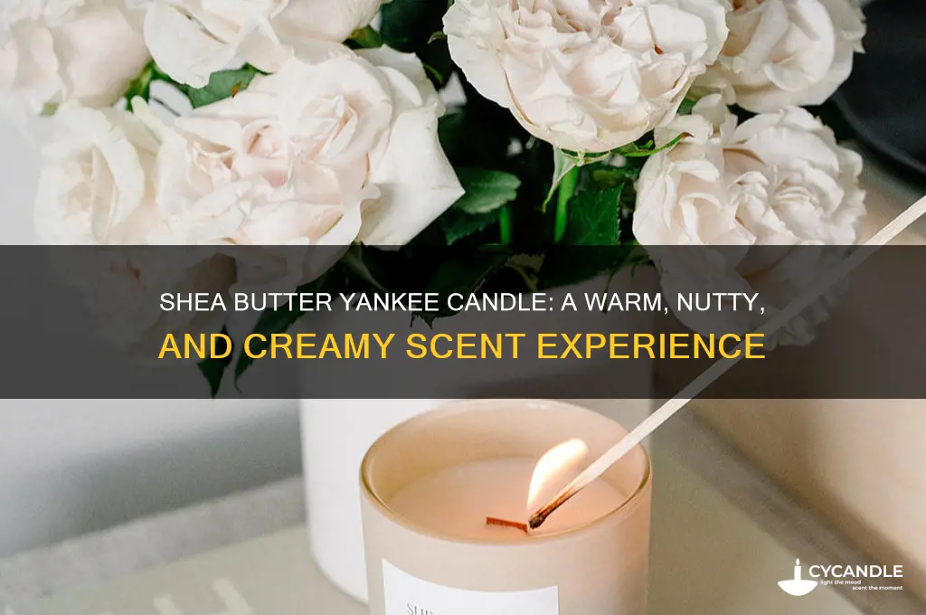 what does shea butter yankee candle smell like