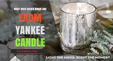Discover the Fresh, Woody Scent of Silver Birch Yankee Candle