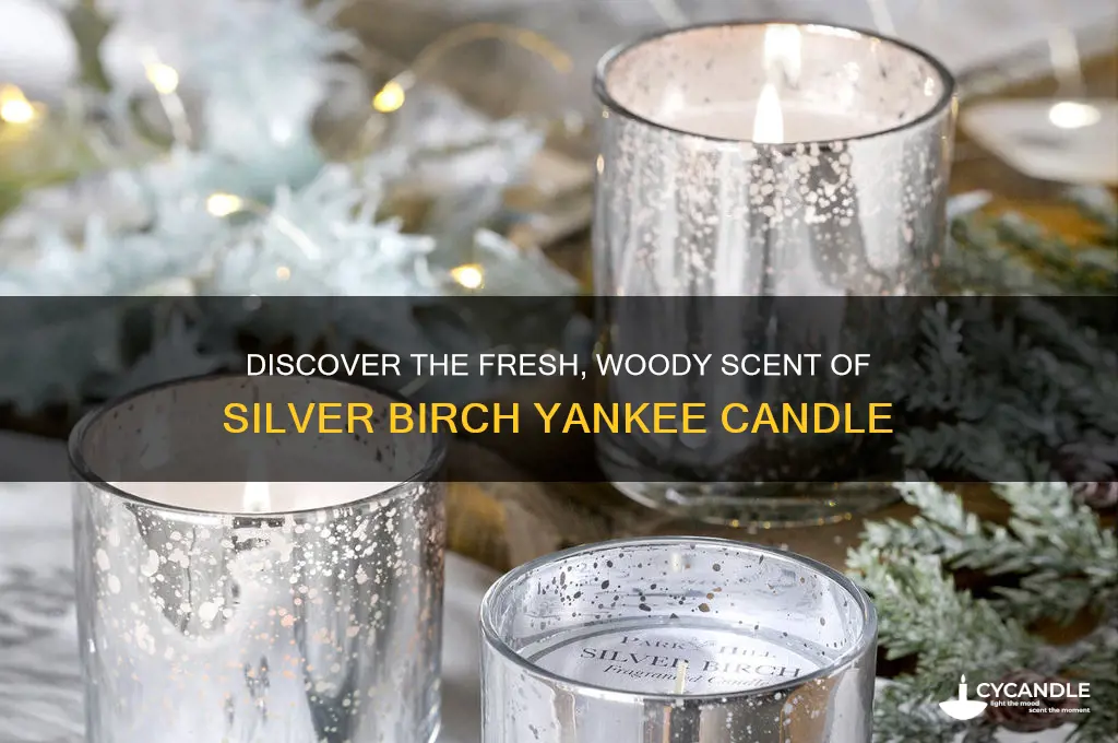 what does silver birch like from yankee candle