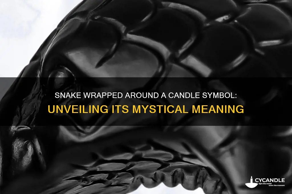what does tbe symbol snake wrapped around a candle mean