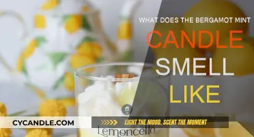 The Bergamot Mint Candle: A Fresh, Citrusy Scent